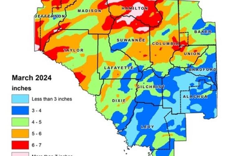 North Florida received more rain than normal in March, according to the Suwannee River Water Management District’s Hydrologic Conditions Report. (COURTESY)